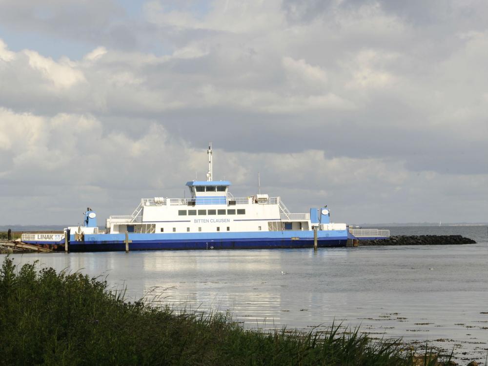 The ferry Bitten