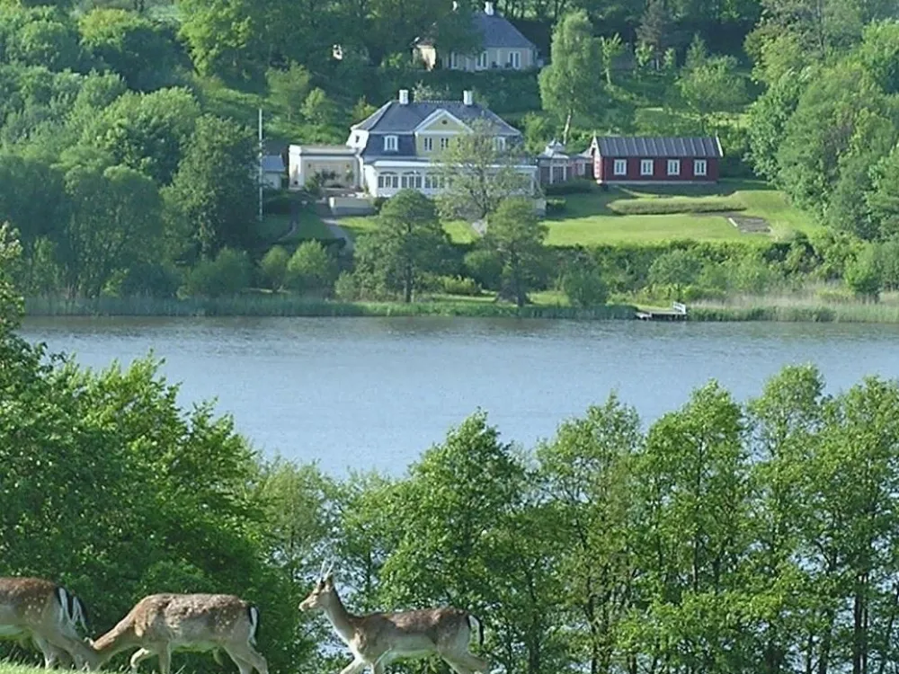 Restaurant Damende
