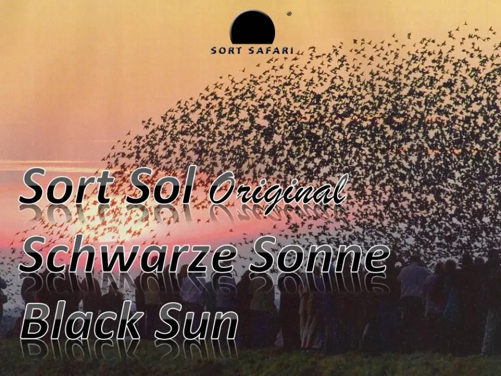 Black Sun - from Tønder