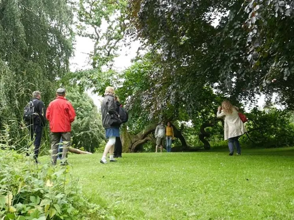 Guided tour of Tørning Mølle