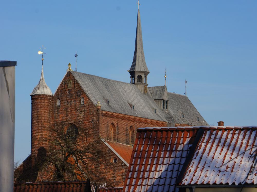 Guided tour in Haderslev Cathedral