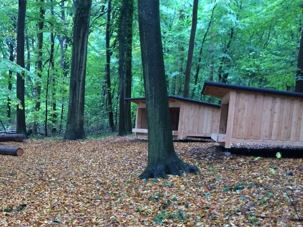 Shelters in Kollund forrest