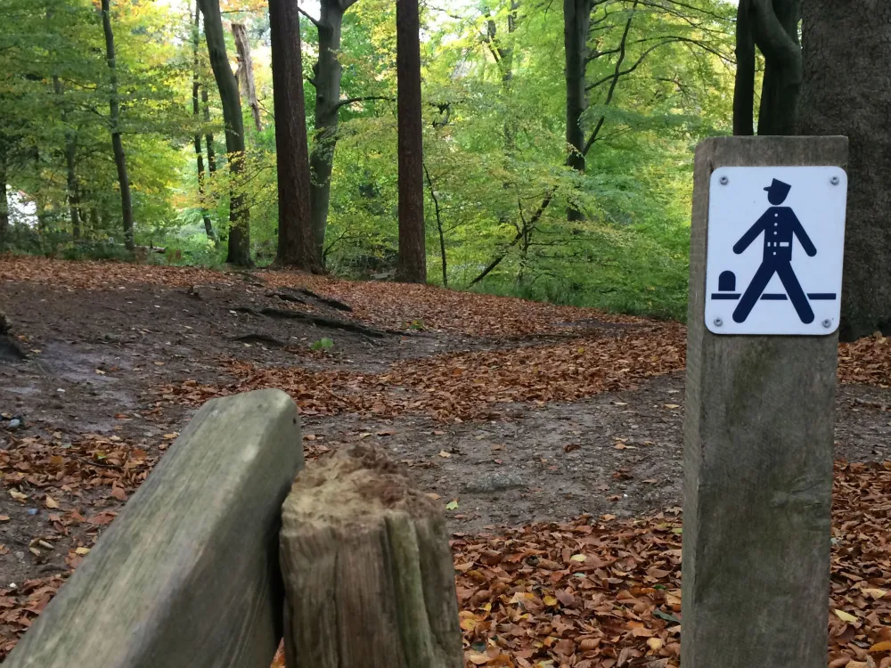 Shelters in Kollund forrest