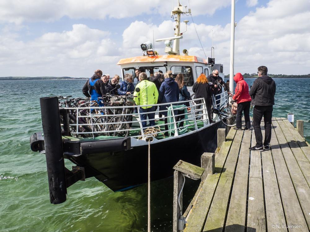 Experience an unforgettable tour on the bicycle ferry Rødsand