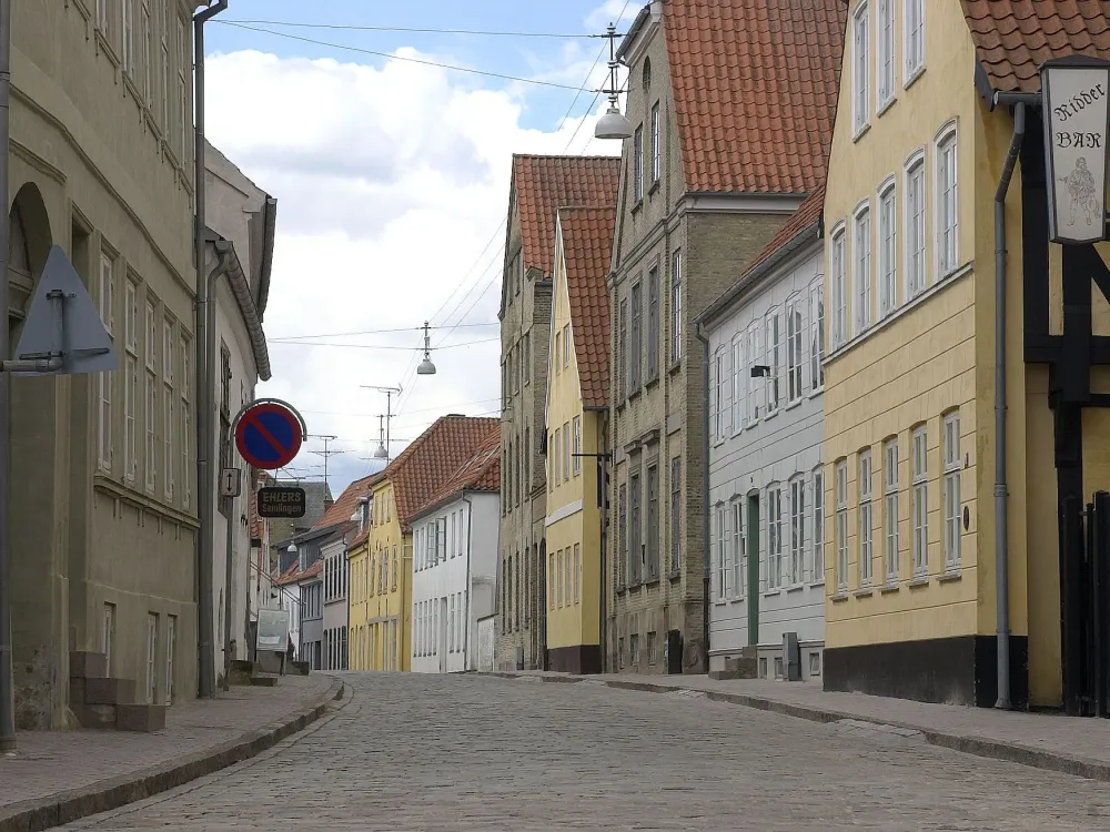 Guided walk through Haderslev historical city center.