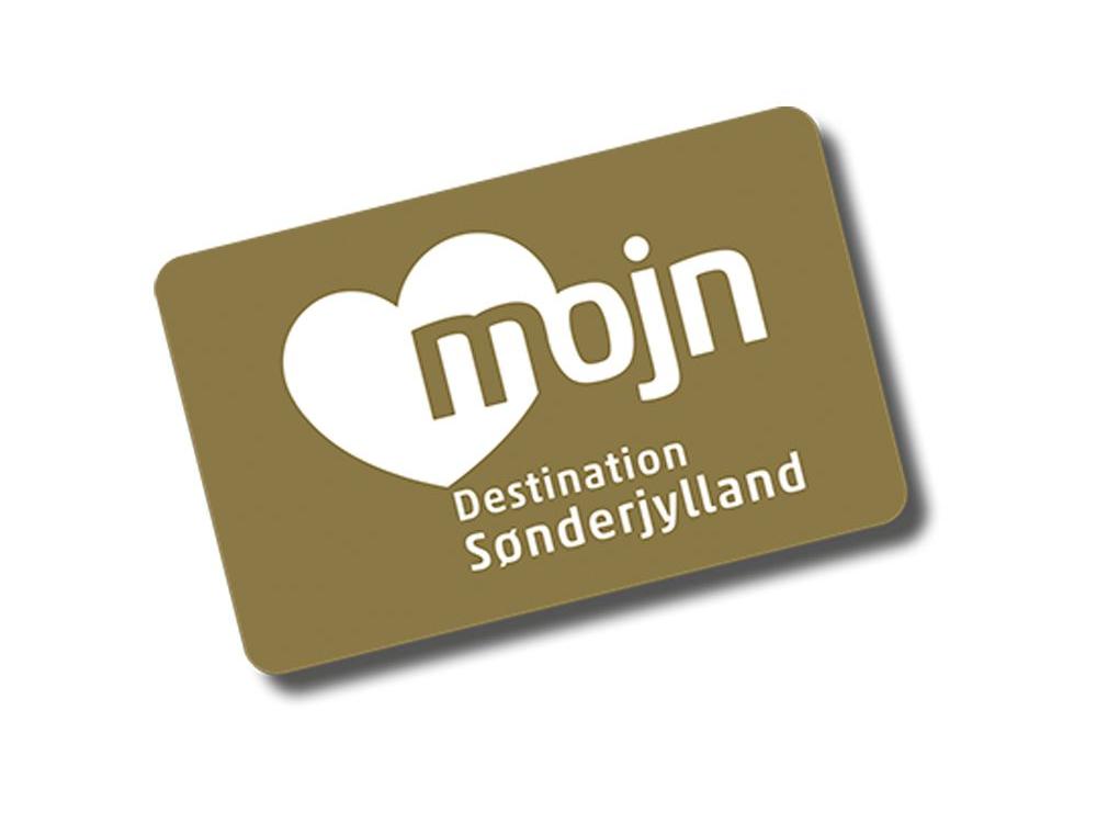 MOJN Card