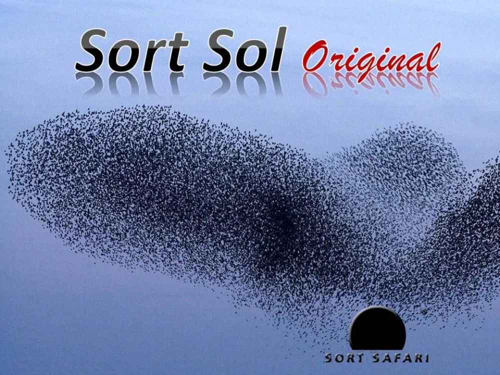 Sort Safari