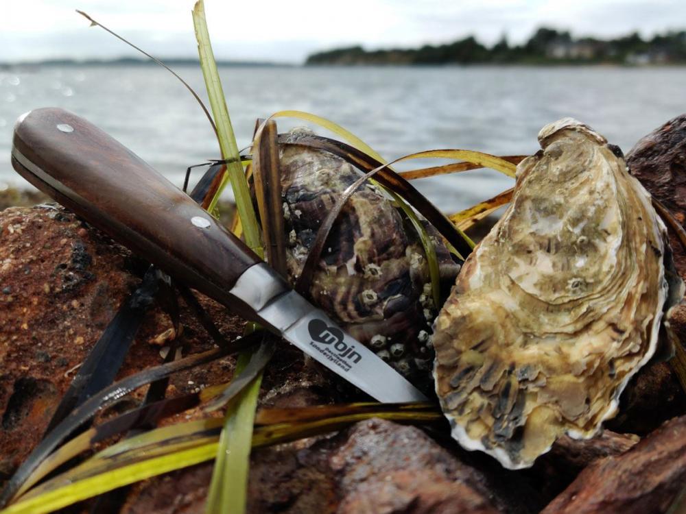Oyster knife with MOJN logo