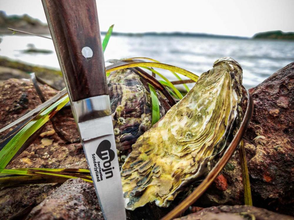 Oyster knife with MOJN logo