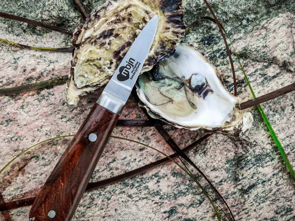 Oyster knife with MOJN logo