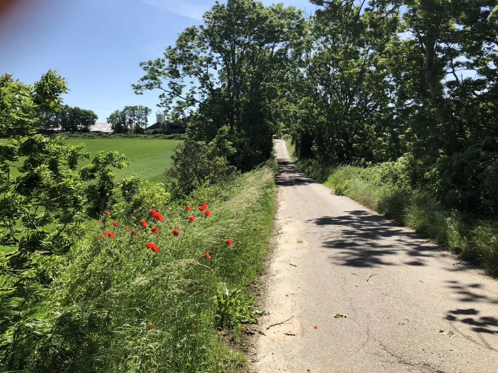 Bikeguide for the Flensburg Fjord Route