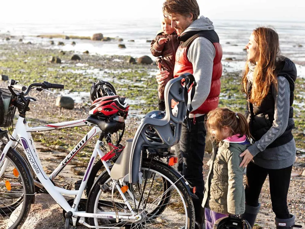 On your bike in Tøndermarsken