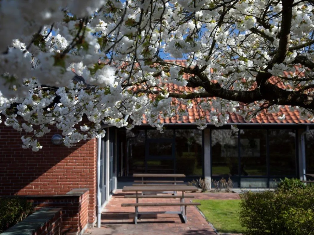 Danhostel Sønderborg City