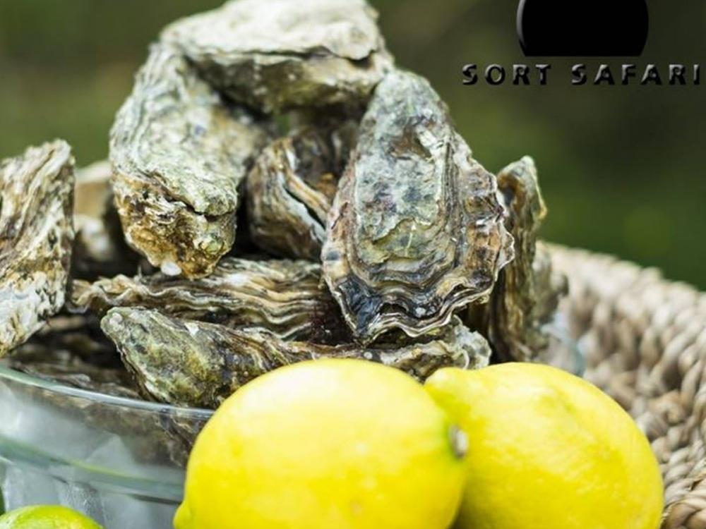 Oysters deluxe – Oyster Safari with deliciously prepared oysters and champagne