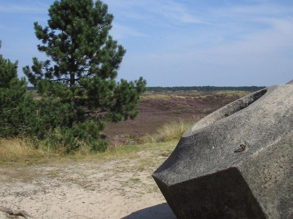 Bunker tour on Rømø – a journey back in time to the occupation of Denmark.