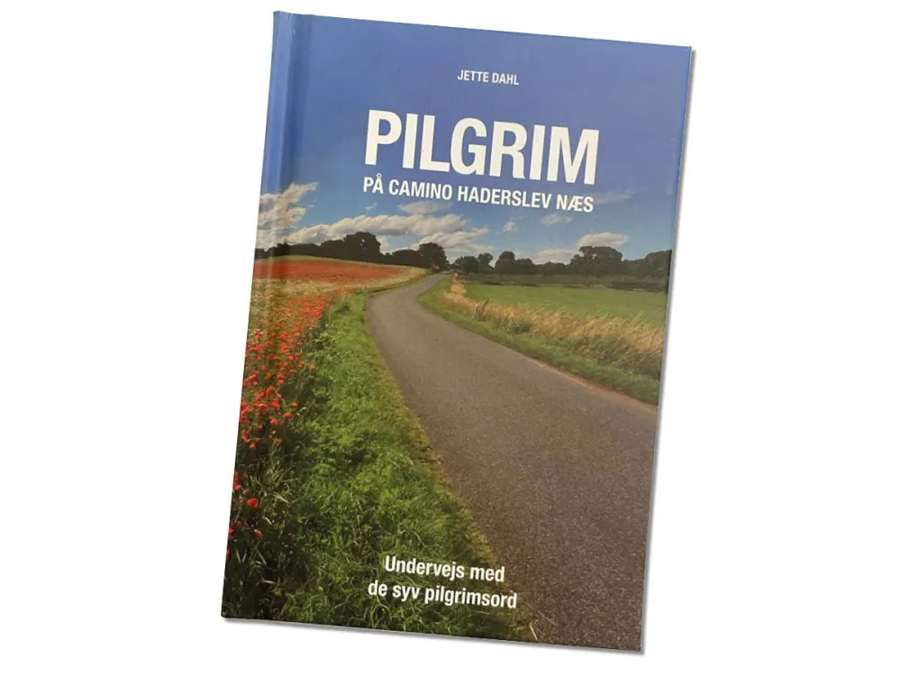 Camino Haderslev Næs information package