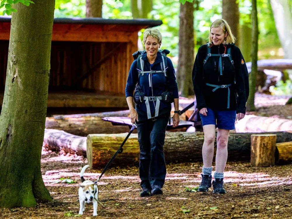 Gendarmstien med hund, Kollund Skov