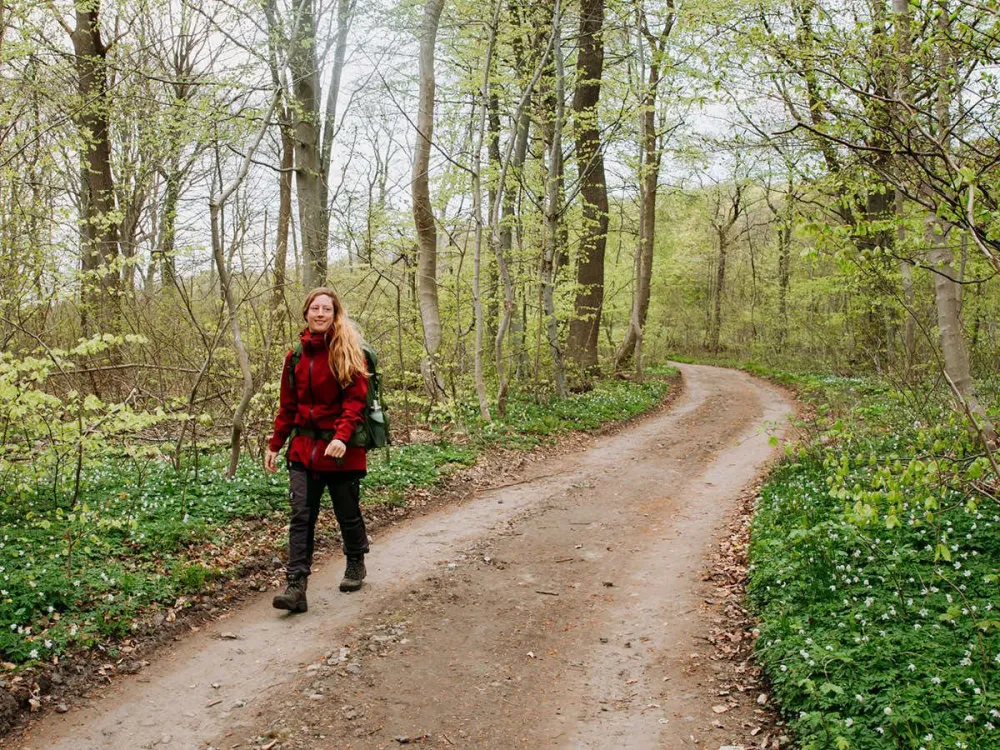 A One-Week Hike on the Gendarme Path from Padborg to Skovby