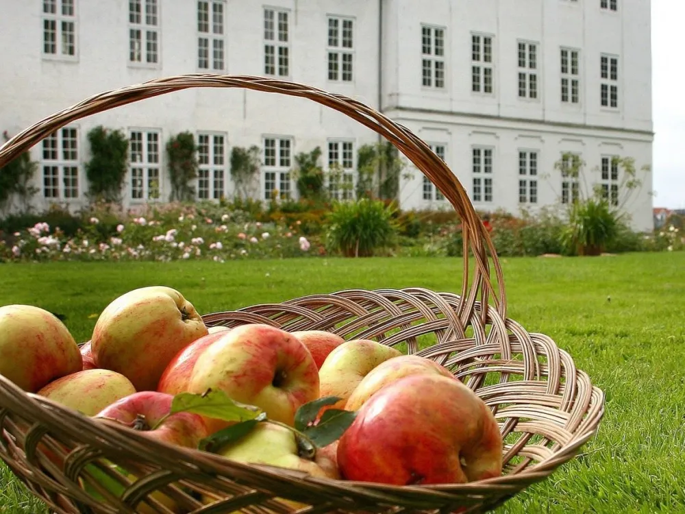 Coffee Table and Kitchen Garden in the Castle Town of Gråsten
