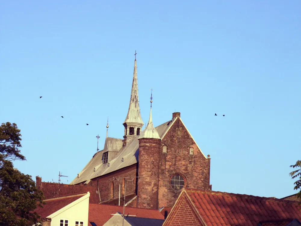 Guided walk through Haderslev historical city center.